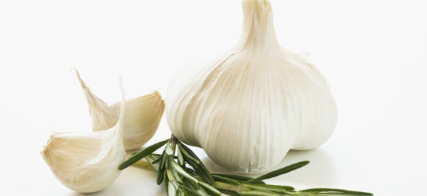 ���i�s�@�j���j�N����